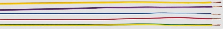 lgy.jpg