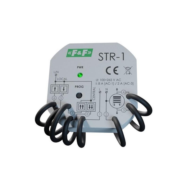 FiF_STR-1_1.jpg