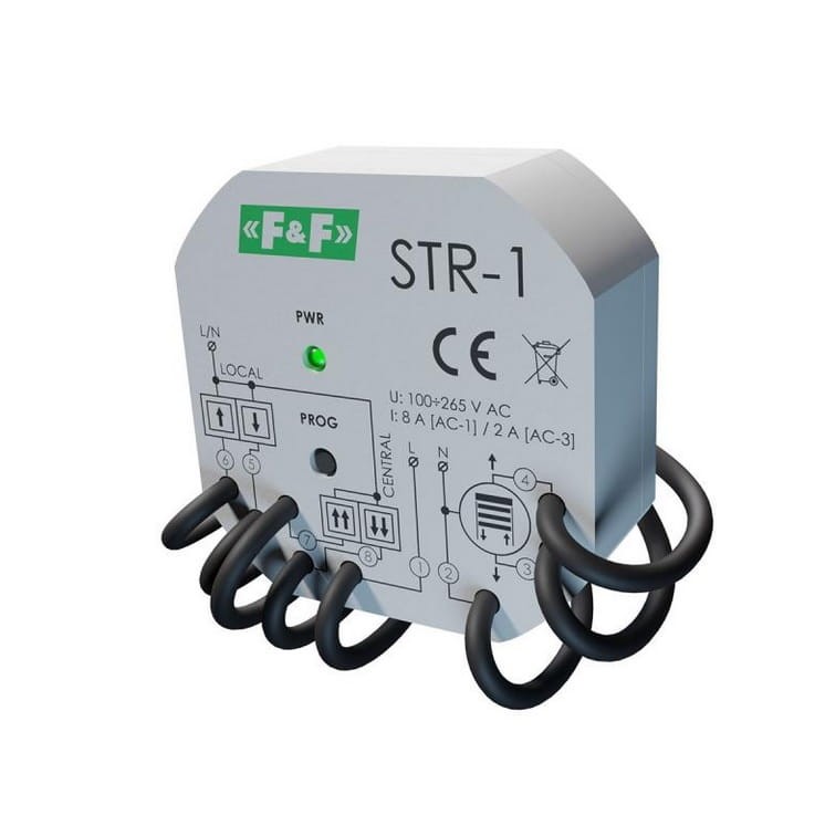 FiF_STR-1_2.jpg