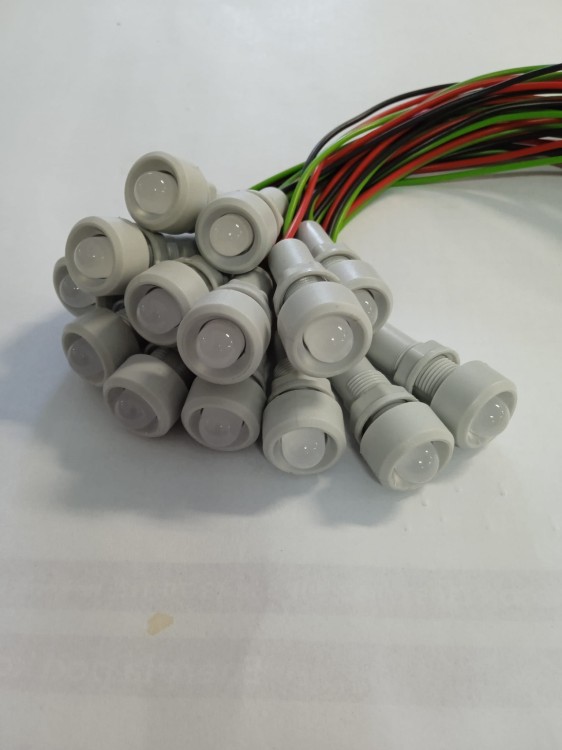 LAMPKA DIODA R10 24VD DWUKOLOROWA 1.jpg