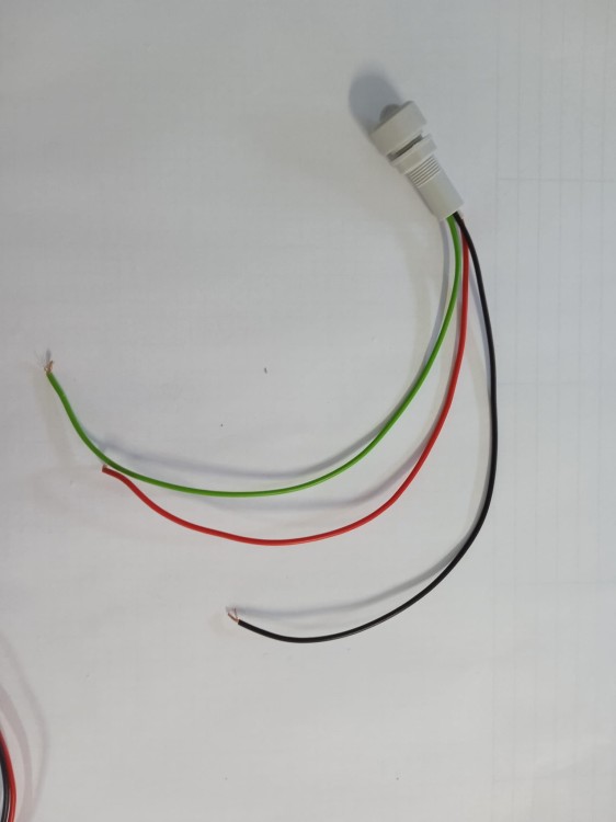 LAMPKA DIODA R10 24VD DWUKOLOROWA 2.jpg